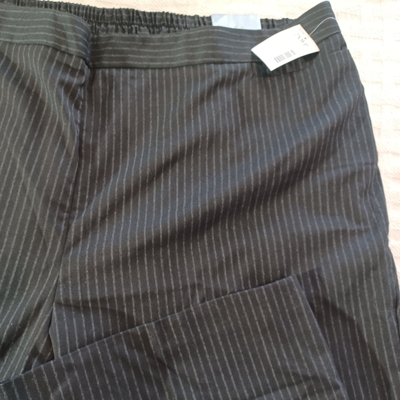 NEW WITH TAGS Catherine's Petite Pant, Size 2XWP 22/24WP Black/Charcoal Striped - Picture 4 of 6